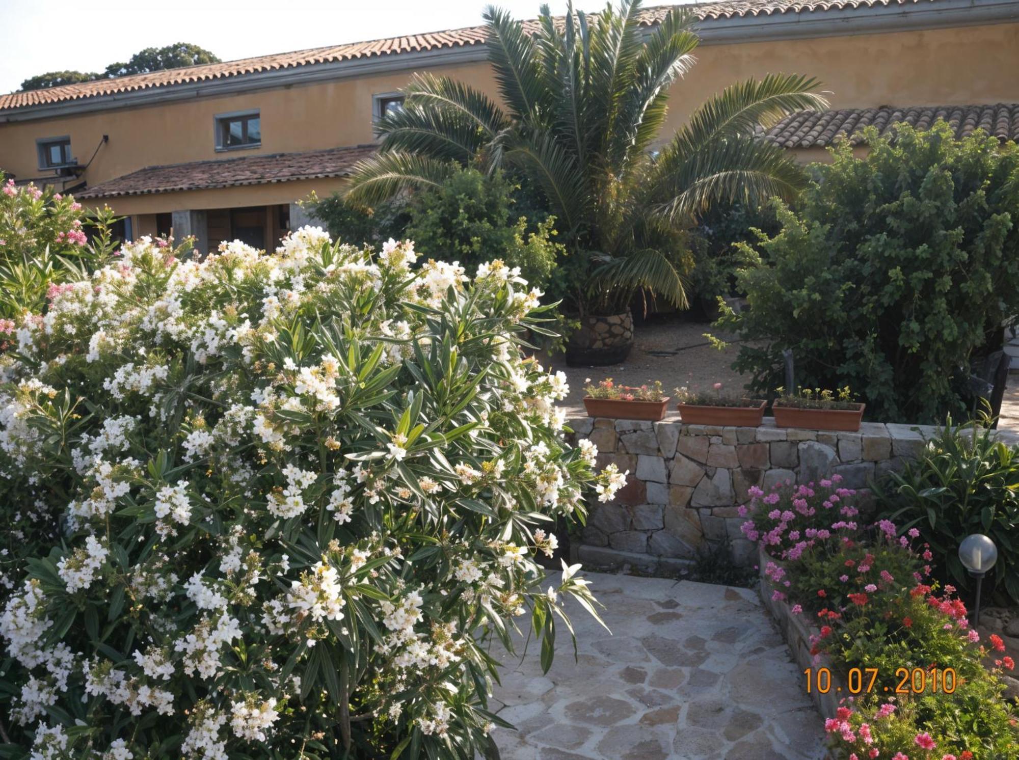 Agriturismo Lu Colbu Trinità dʼAgultu Esterno foto